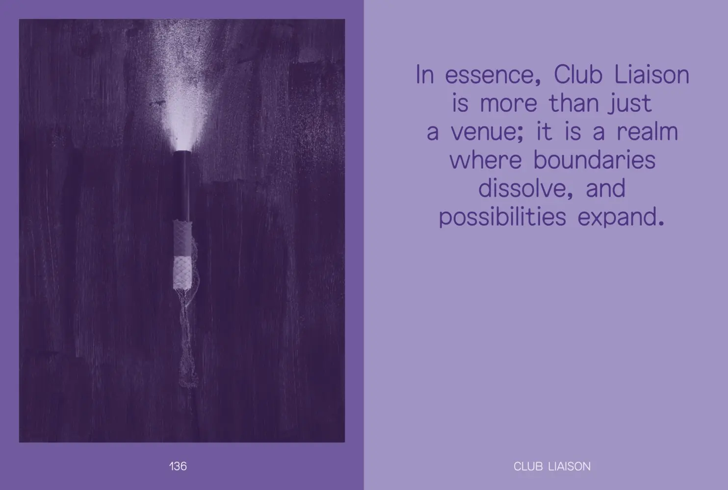 Bild: 9783954766659 | Club Liaison | Liesl Raff | Liesl Raff | Taschenbuch | 240 S. | 2024