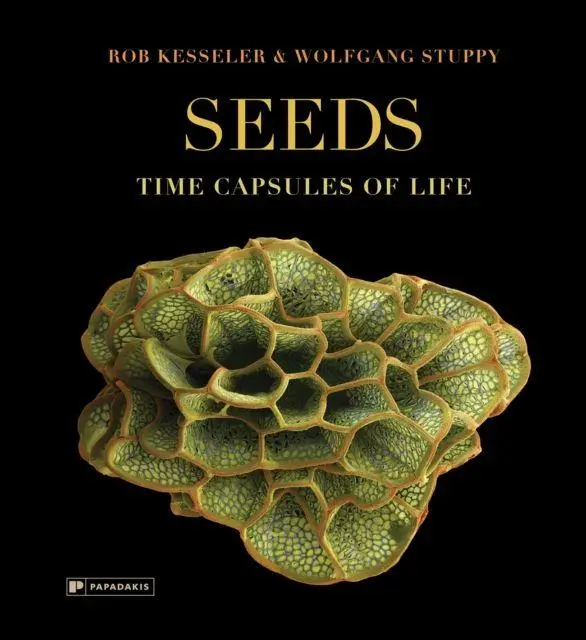 Cover: 9781906506759 | Seeds | Time Capsules of Life | Rob Kesseler (u. a.) | Buch | Englisch