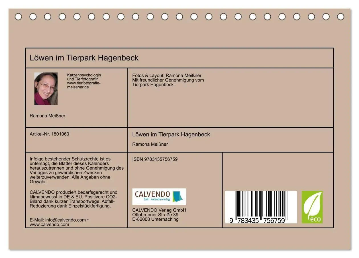 Bild: 9783435756759 | Löwen im Tierpark Hagenbeck (Tischkalender 2025 DIN A5 quer),...