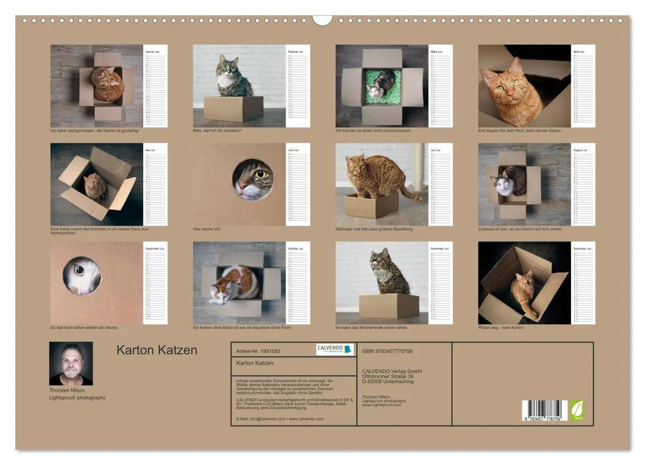 Bild: 9783457776759 | Karton Katzen (Wandkalender 2026 DIN A2 quer), CALVENDO Monatskalender