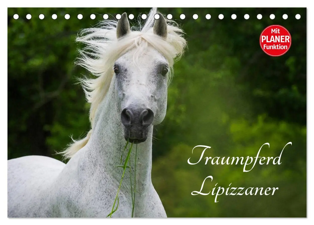 Cover: 9783516006759 | Traumpferd Lipizzaner (Tischkalender 2026 DIN A5 quer), CALVENDO...
