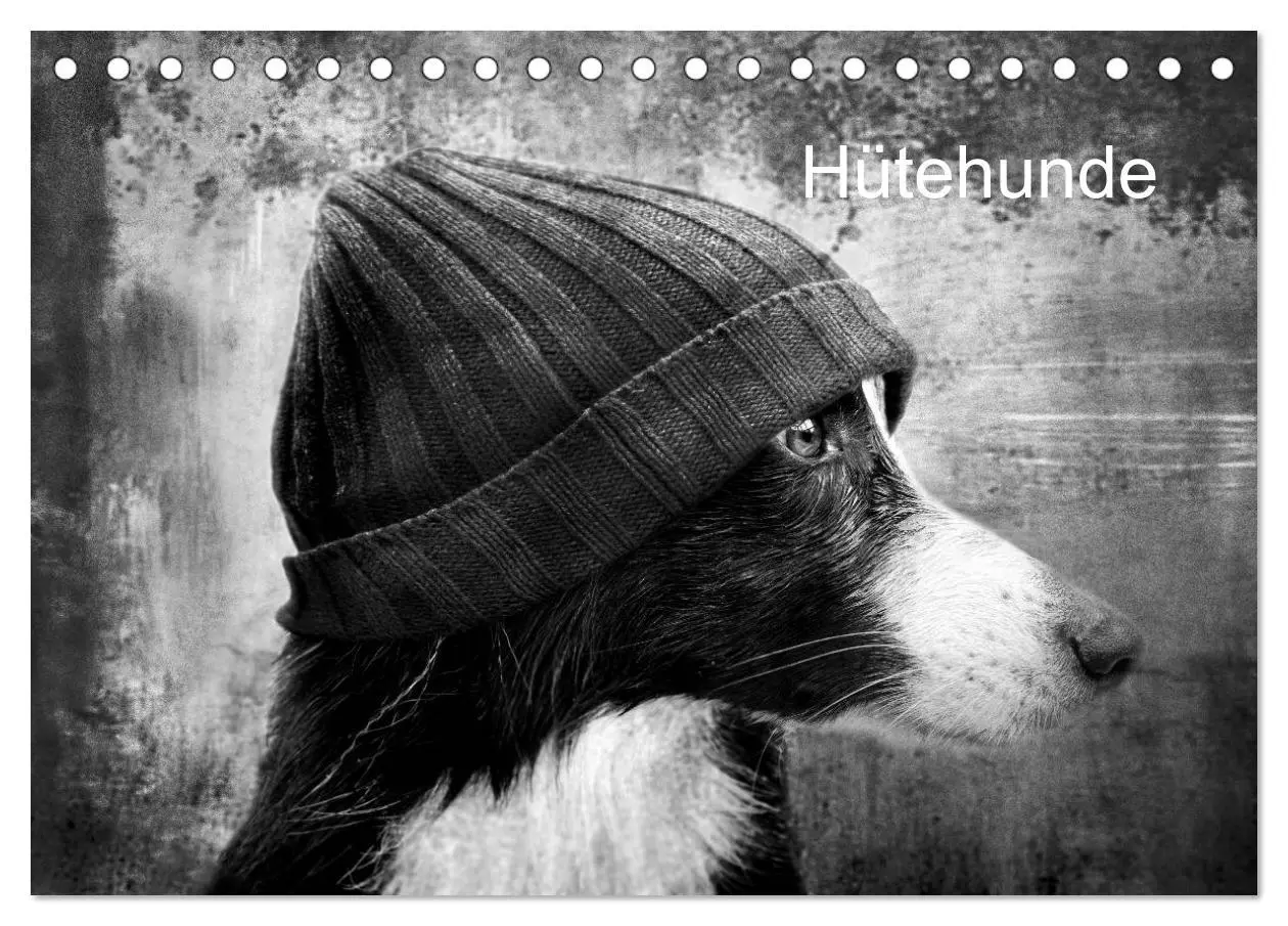 Cover: 9783516176759 | Hütehunde (Tischkalender 2026 DIN A5 quer), CALVENDO Monatskalender