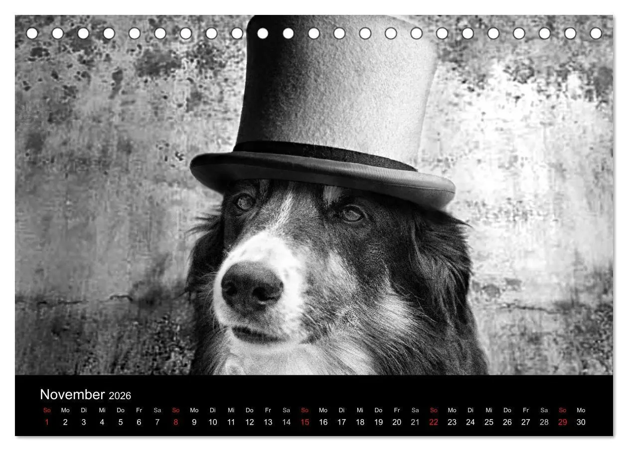 Bild: 9783516176759 | Hütehunde (Tischkalender 2026 DIN A5 quer), CALVENDO Monatskalender