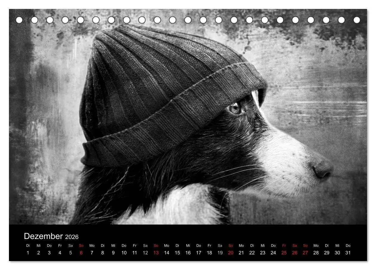 Bild: 9783516176759 | Hütehunde (Tischkalender 2026 DIN A5 quer), CALVENDO Monatskalender