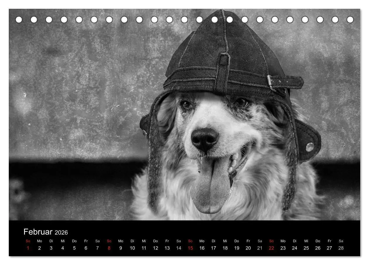 Bild: 9783516176759 | Hütehunde (Tischkalender 2026 DIN A5 quer), CALVENDO Monatskalender