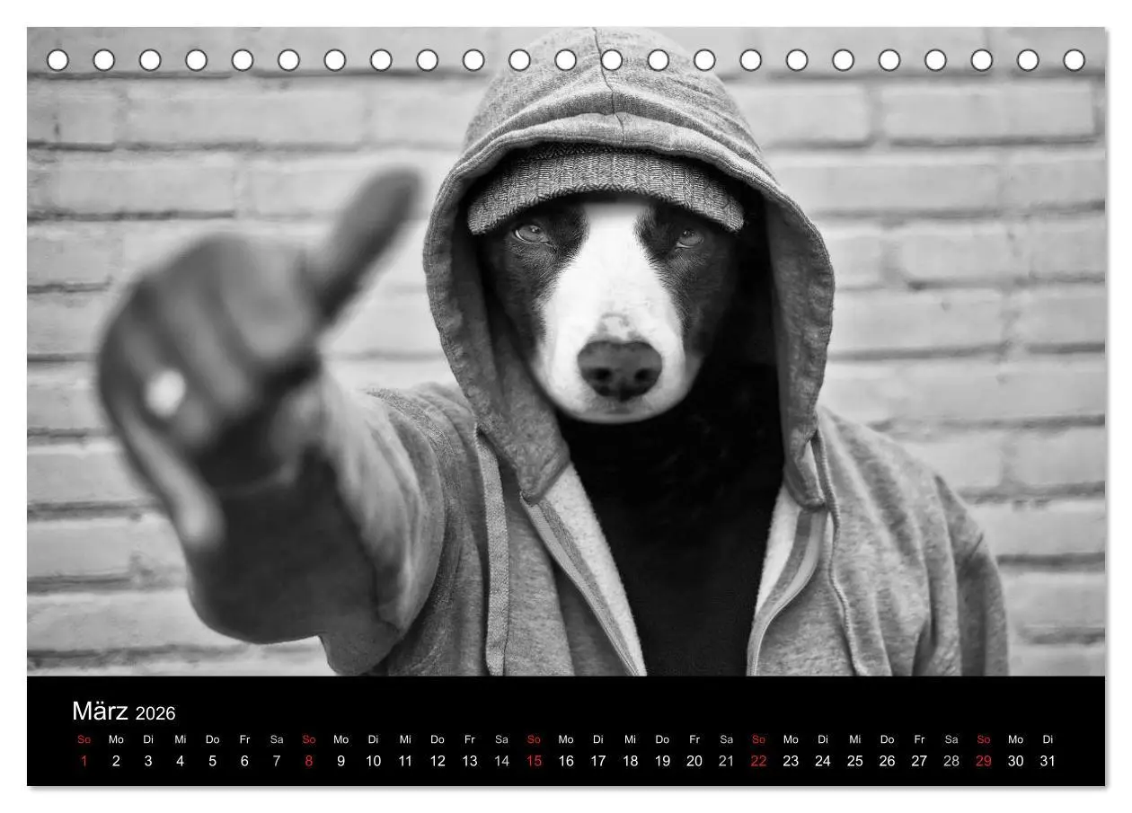 Bild: 9783516176759 | Hütehunde (Tischkalender 2026 DIN A5 quer), CALVENDO Monatskalender