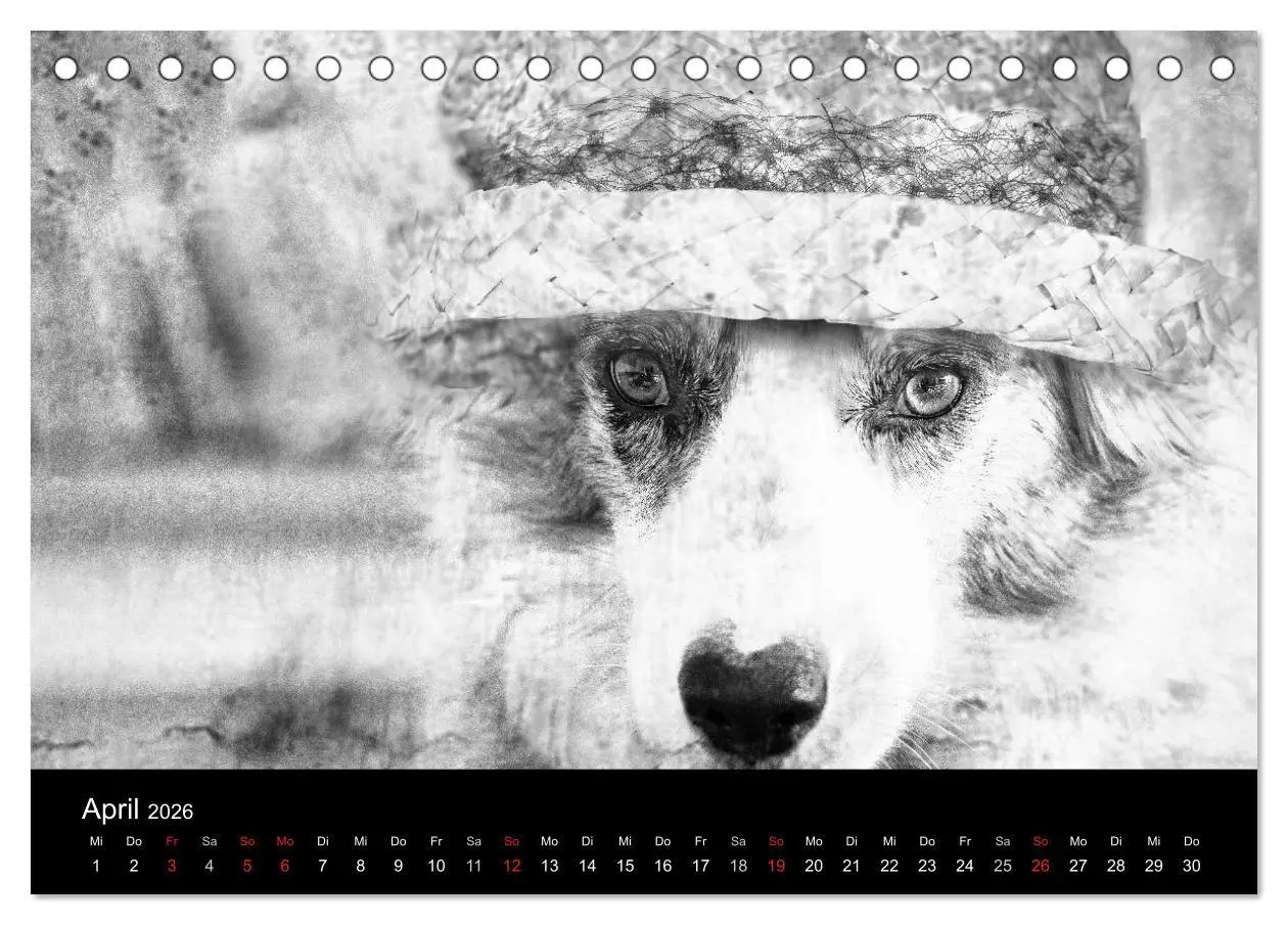 Bild: 9783516176759 | Hütehunde (Tischkalender 2026 DIN A5 quer), CALVENDO Monatskalender