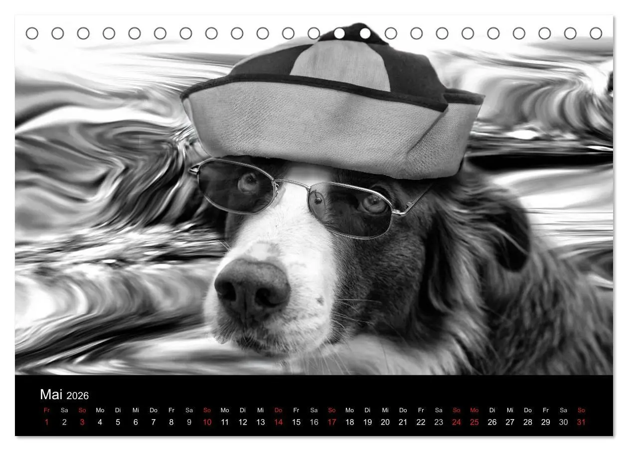 Bild: 9783516176759 | Hütehunde (Tischkalender 2026 DIN A5 quer), CALVENDO Monatskalender