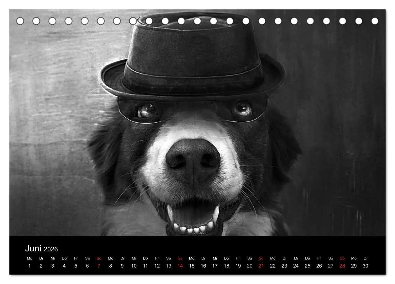 Bild: 9783516176759 | Hütehunde (Tischkalender 2026 DIN A5 quer), CALVENDO Monatskalender