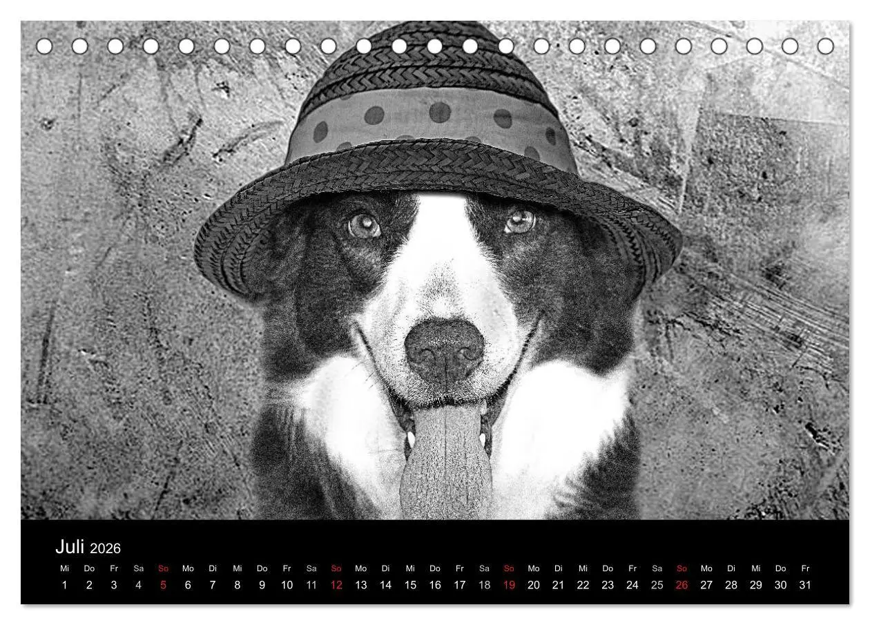 Bild: 9783516176759 | Hütehunde (Tischkalender 2026 DIN A5 quer), CALVENDO Monatskalender