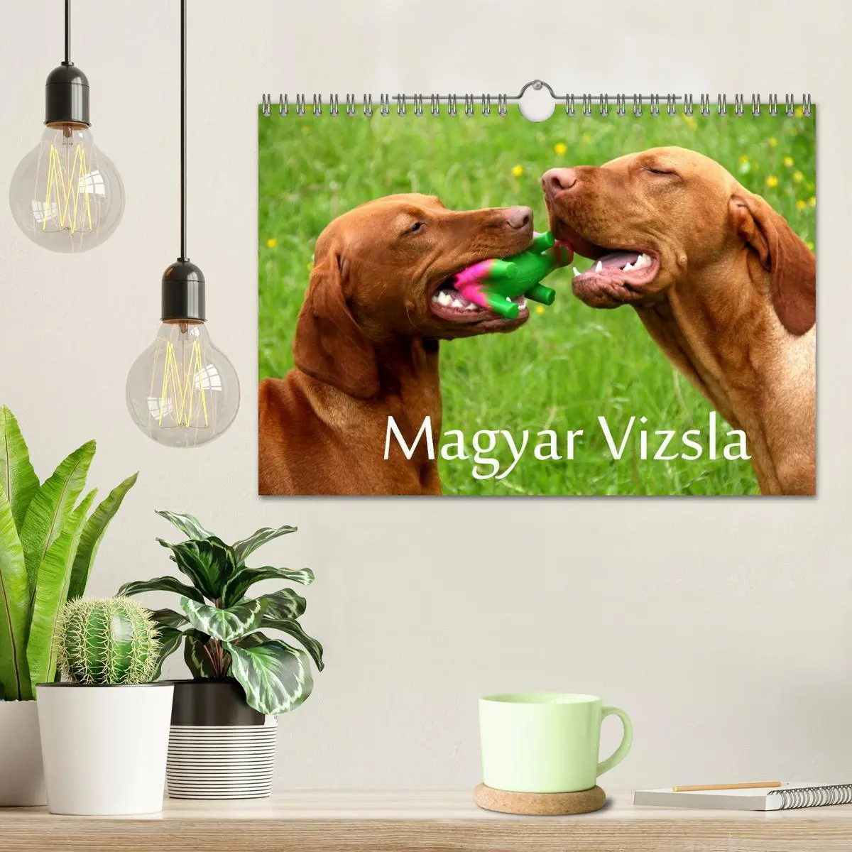 Bild: 9783516166859 | Magyar Vizsla (Wandkalender 2026 DIN A4 quer), CALVENDO Monatskalender