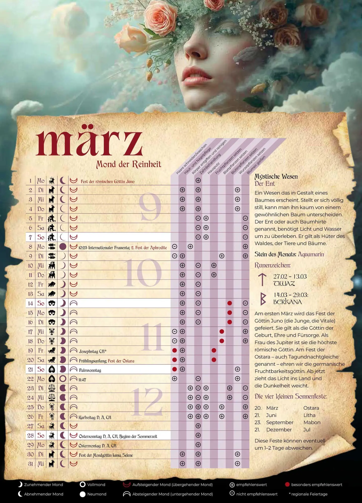 Bild: 9783982606859 | Mystik Kalender 2027 | Die Kraft der Kräuter im Alltag nutzen | Bunz