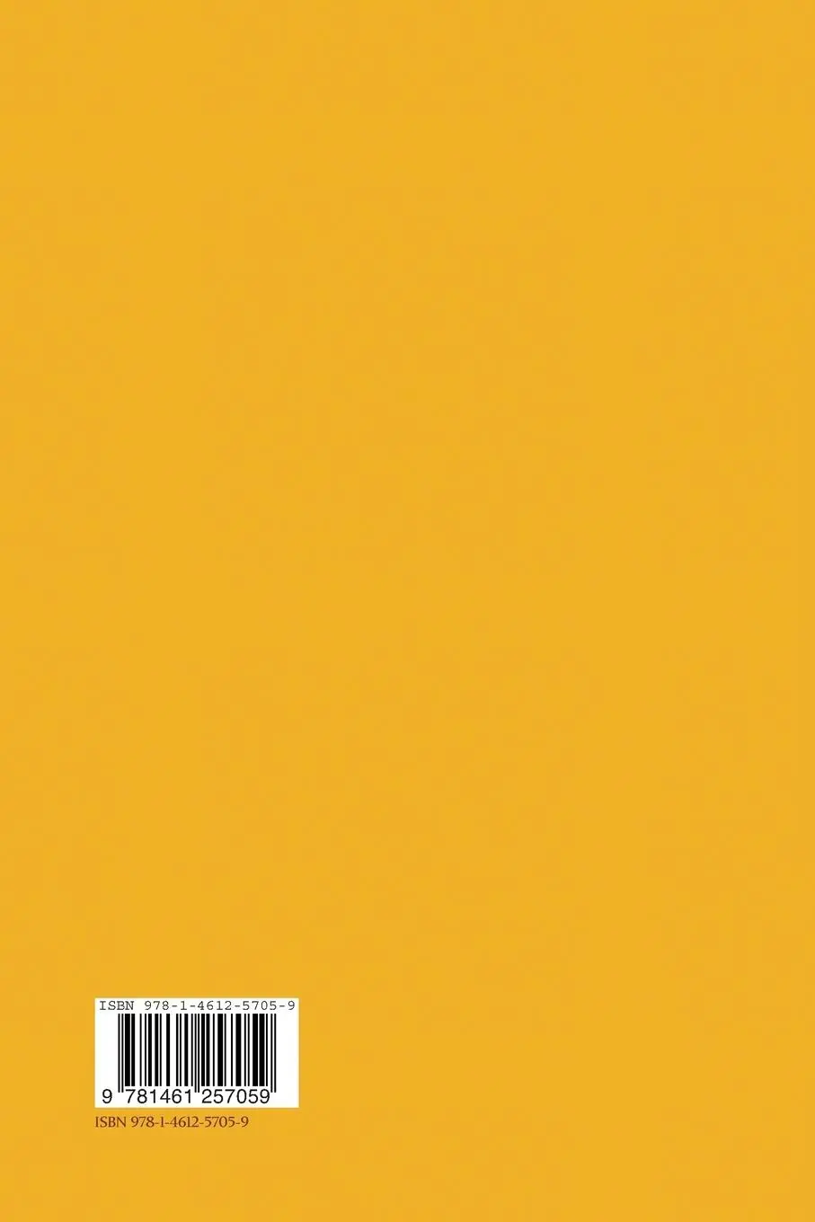 Rückseite: 9781461257059 | Geometric Theory of Dynamical Systems | An Introduction | Taschenbuch