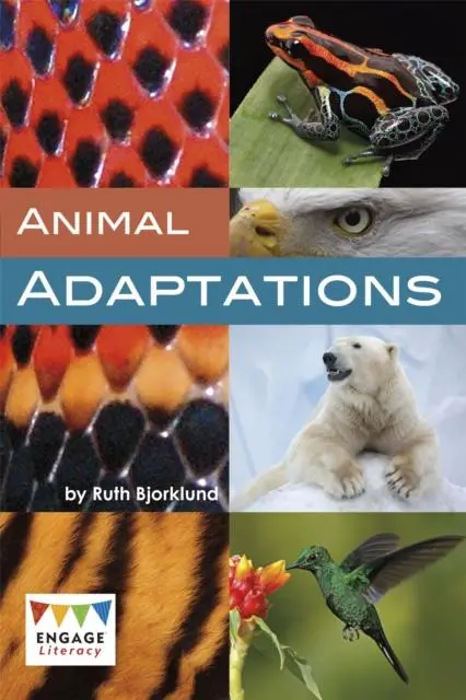 Cover: 9781474747059 | Animal Adaptations | Ruth Bjorklund | Taschenbuch | Englisch | 2017