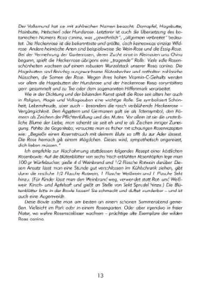 Bild: 9783937107059 | Ein botanischer Märchengarten | Pflanzenmärchen und -porträts | Buch
