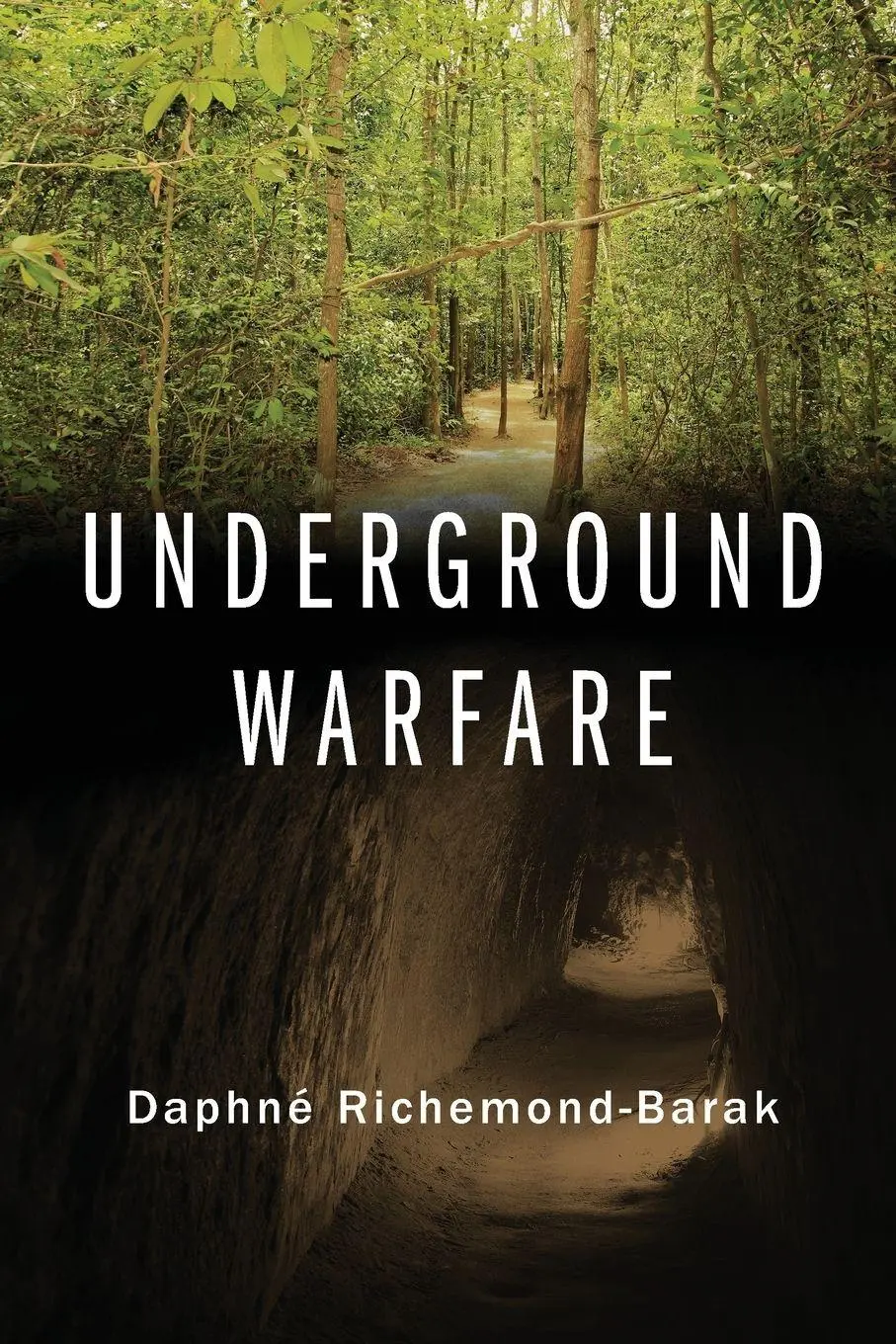 Cover: 9780190457259 | Underground Warfare | Daphné Richemond-Barak | Taschenbuch | Englisch