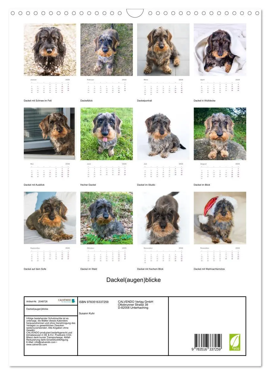 Bild: 9783516337259 | Dackel(augen)blicke (Wandkalender 2026 DIN A3 hoch), CALVENDO...