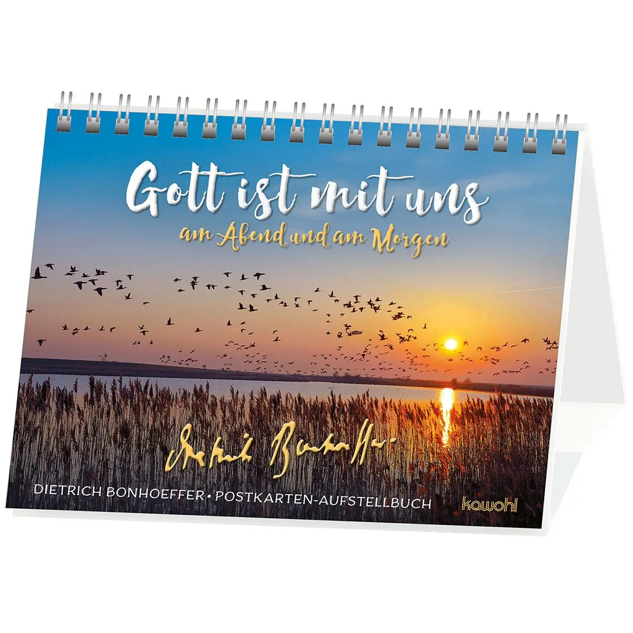Cover: 9783863387259 | Gott ist mit uns am Abend und am Morgen | Postkarten-Aufstellbuch