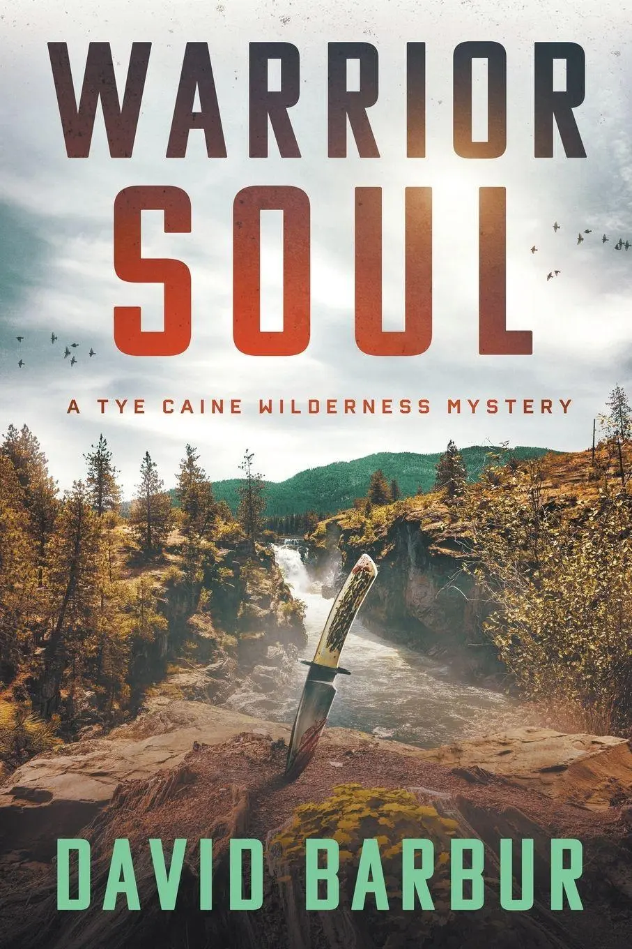 Cover: 9798223547259 | Warrior Soul | David Barbur | Taschenbuch | Englisch | 2023