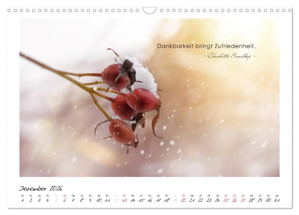 Bild: 9783516017359 | Mit guten Gedanken durch das Jahr (Wandkalender 2026 DIN A3 quer),...