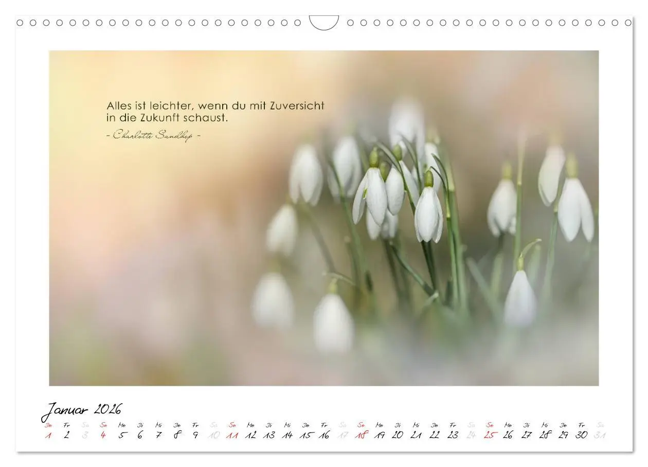 Bild: 9783516017359 | Mit guten Gedanken durch das Jahr (Wandkalender 2026 DIN A3 quer),...