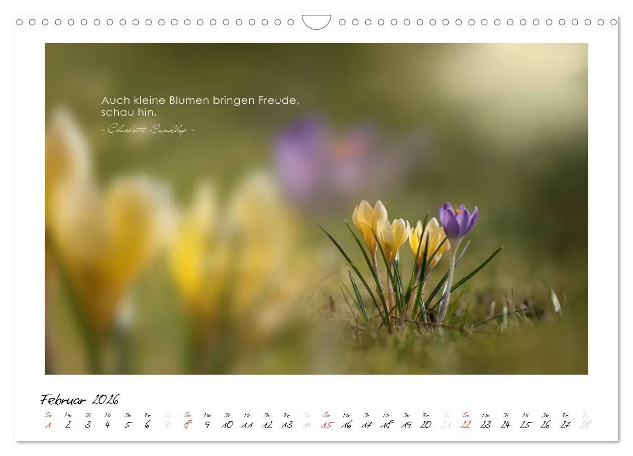 Bild: 9783516017359 | Mit guten Gedanken durch das Jahr (Wandkalender 2026 DIN A3 quer),...