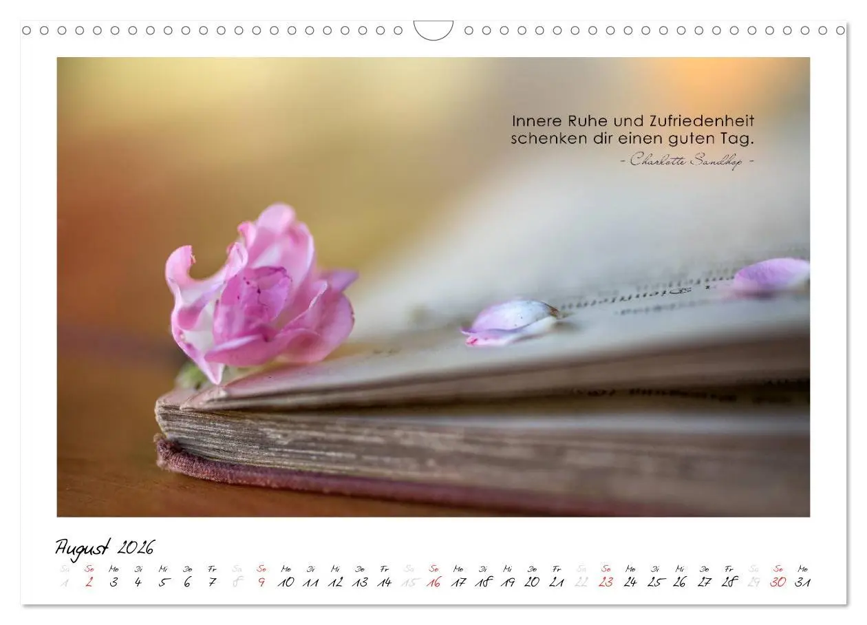 Bild: 9783516017359 | Mit guten Gedanken durch das Jahr (Wandkalender 2026 DIN A3 quer),...