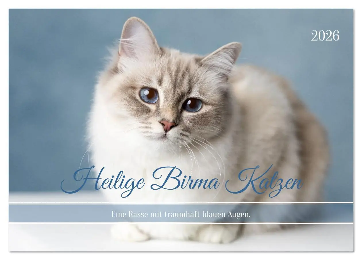 Cover: 9783516637359 | Heilige Birma Katzen - Eine Rasse mit traumhaft blauen Augen....