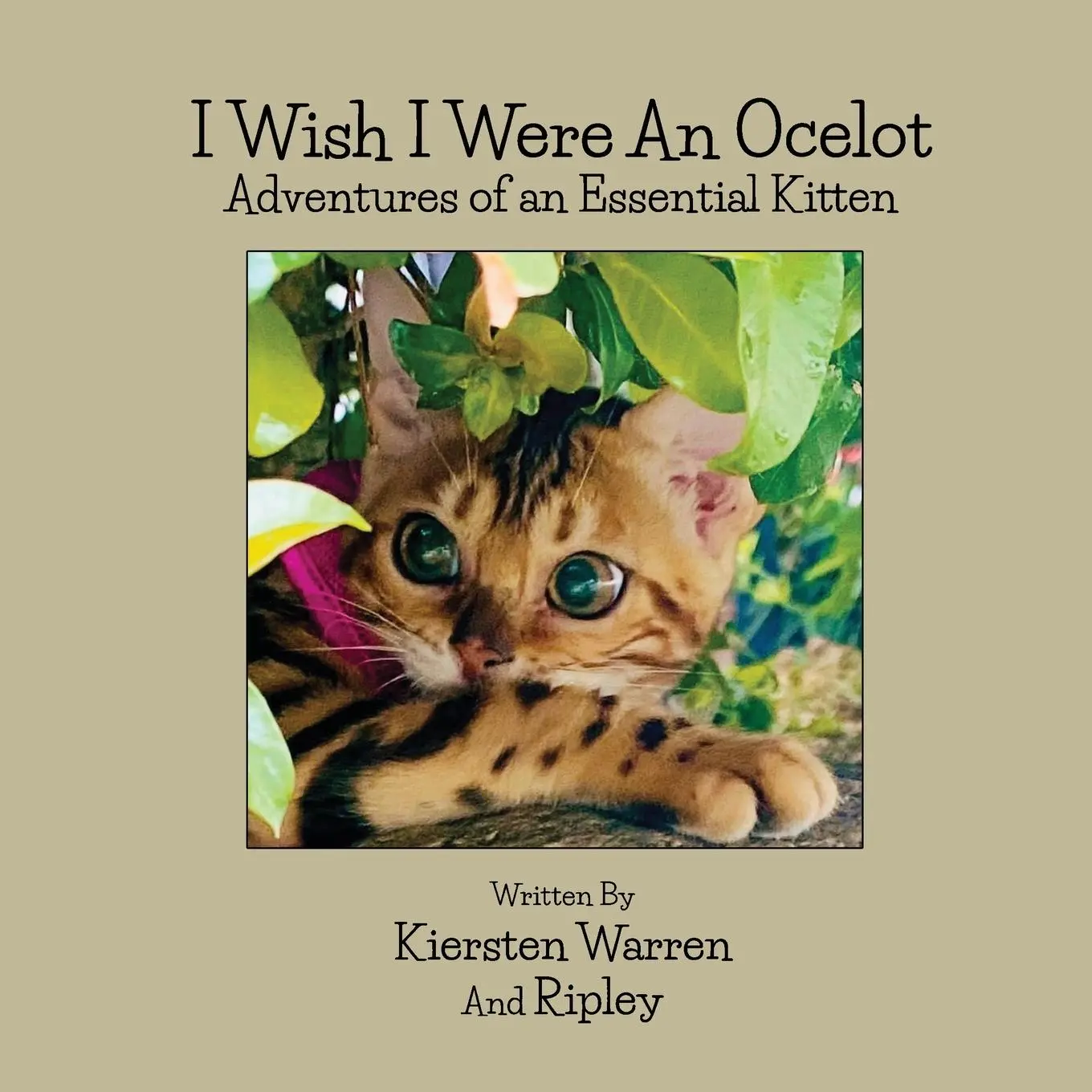 Cover: 9781956867459 | I Wish I Were an Ocelot | Adventures of an Essential Kitten | Warren
