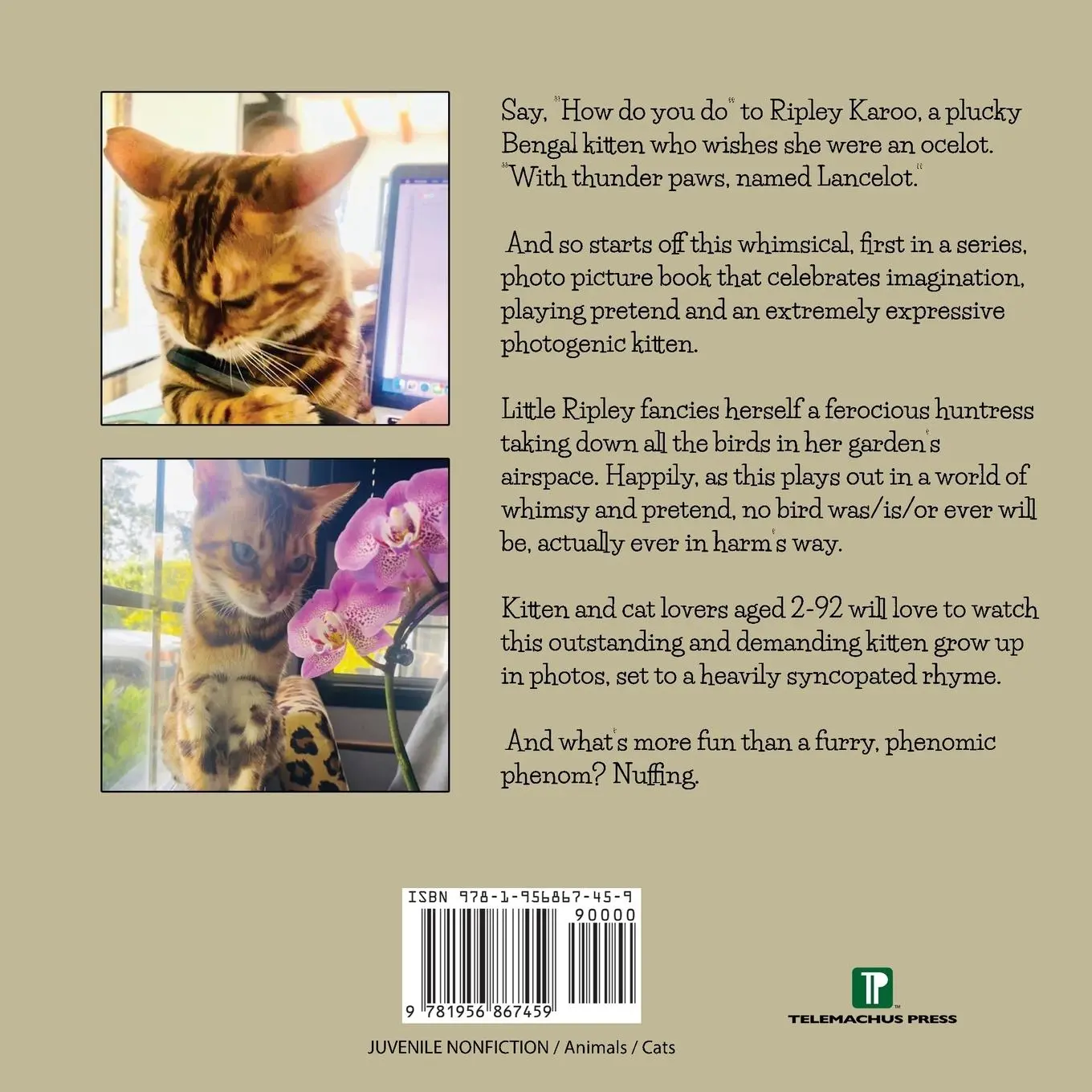 Rückseite: 9781956867459 | I Wish I Were an Ocelot | Adventures of an Essential Kitten | Buch