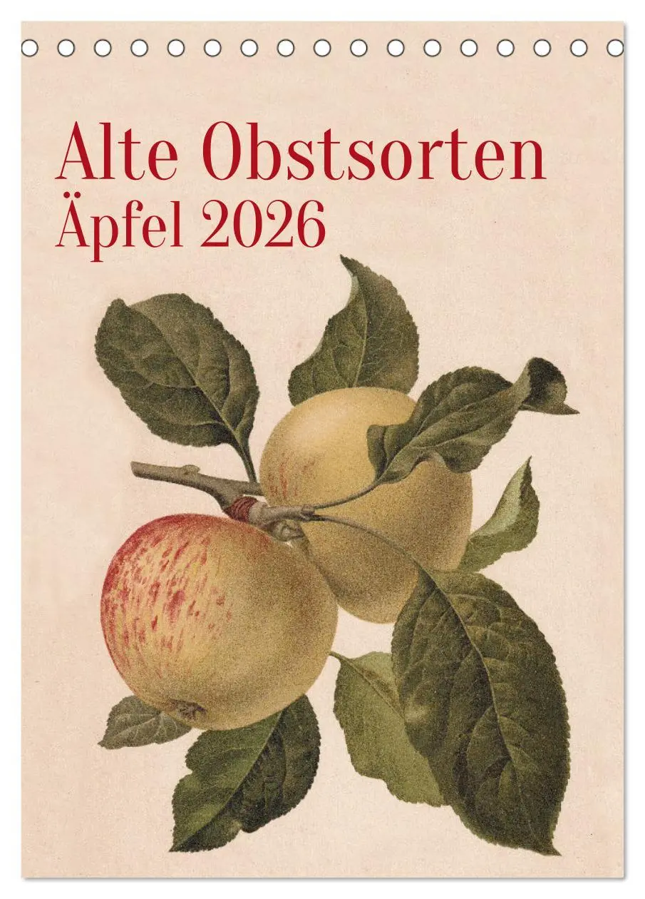 Cover: 9783516247459 | Alte Obstsorten - Äpfel 2026 (Tischkalender 2026 DIN A5 hoch),...