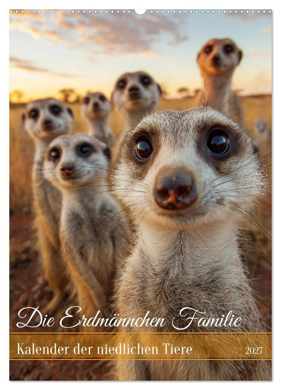Cover: 9783516867459 | Die Erdmännchen Familie - Kalender der niedlichen Tiere...