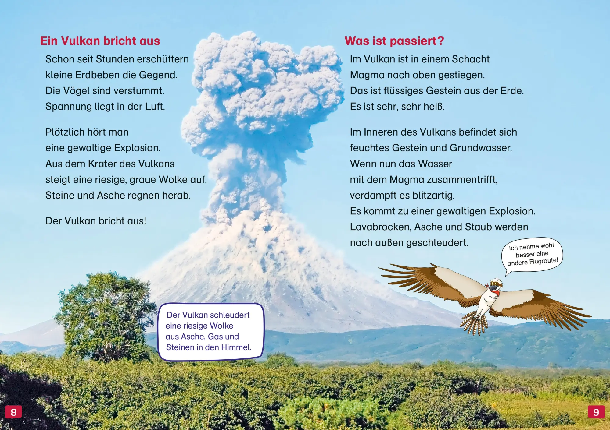 Bild: 9783788677459 | WAS IST WAS Erstes Lesen. Vulkane | Christina Braun | Buch | 64 S.