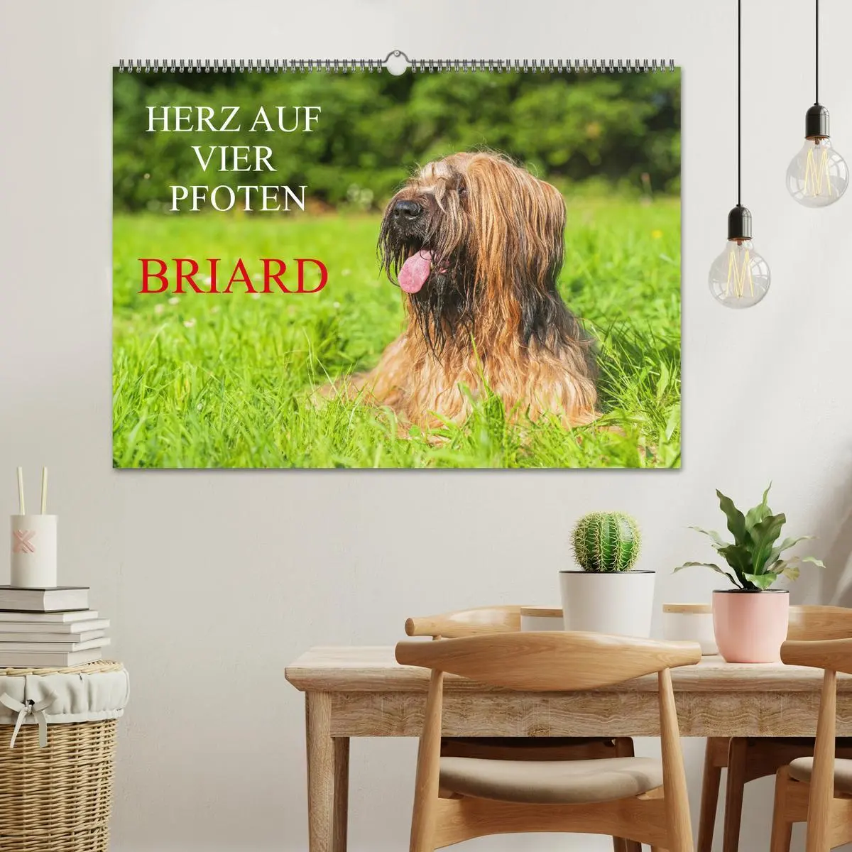 Bild: 9783457387559 | Herz auf vier Pfoten - Briard (Wandkalender 2026 DIN A2 quer),...