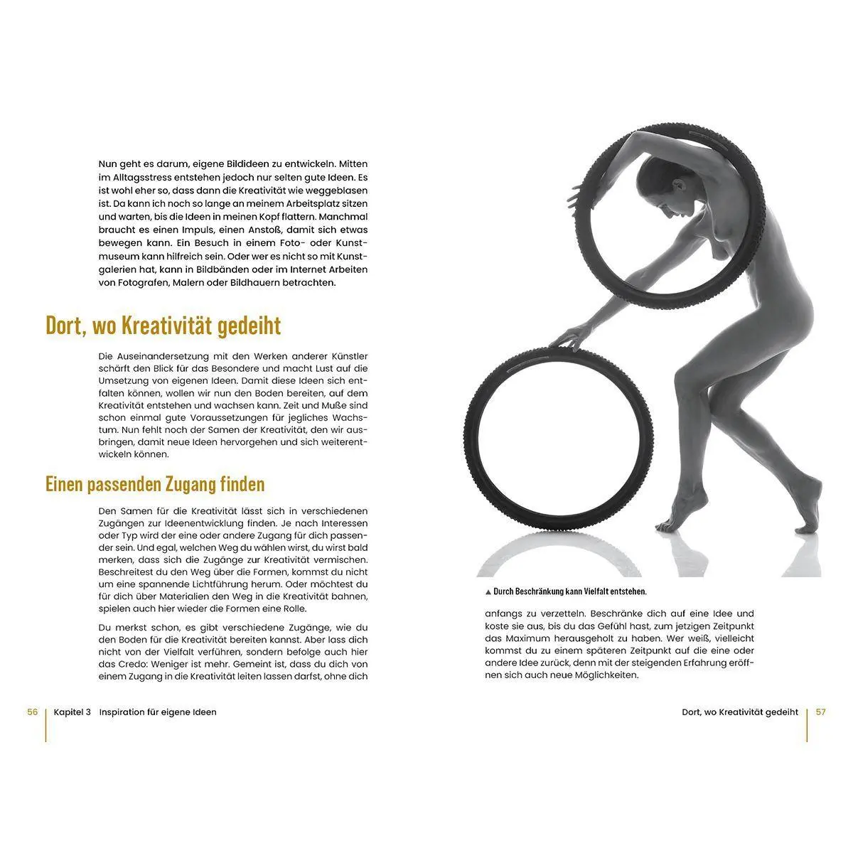 Bild: 9783832807559 | Aktfotografie: Der Weg zu kreativen Kunstwerken | Judith Geiser | Buch