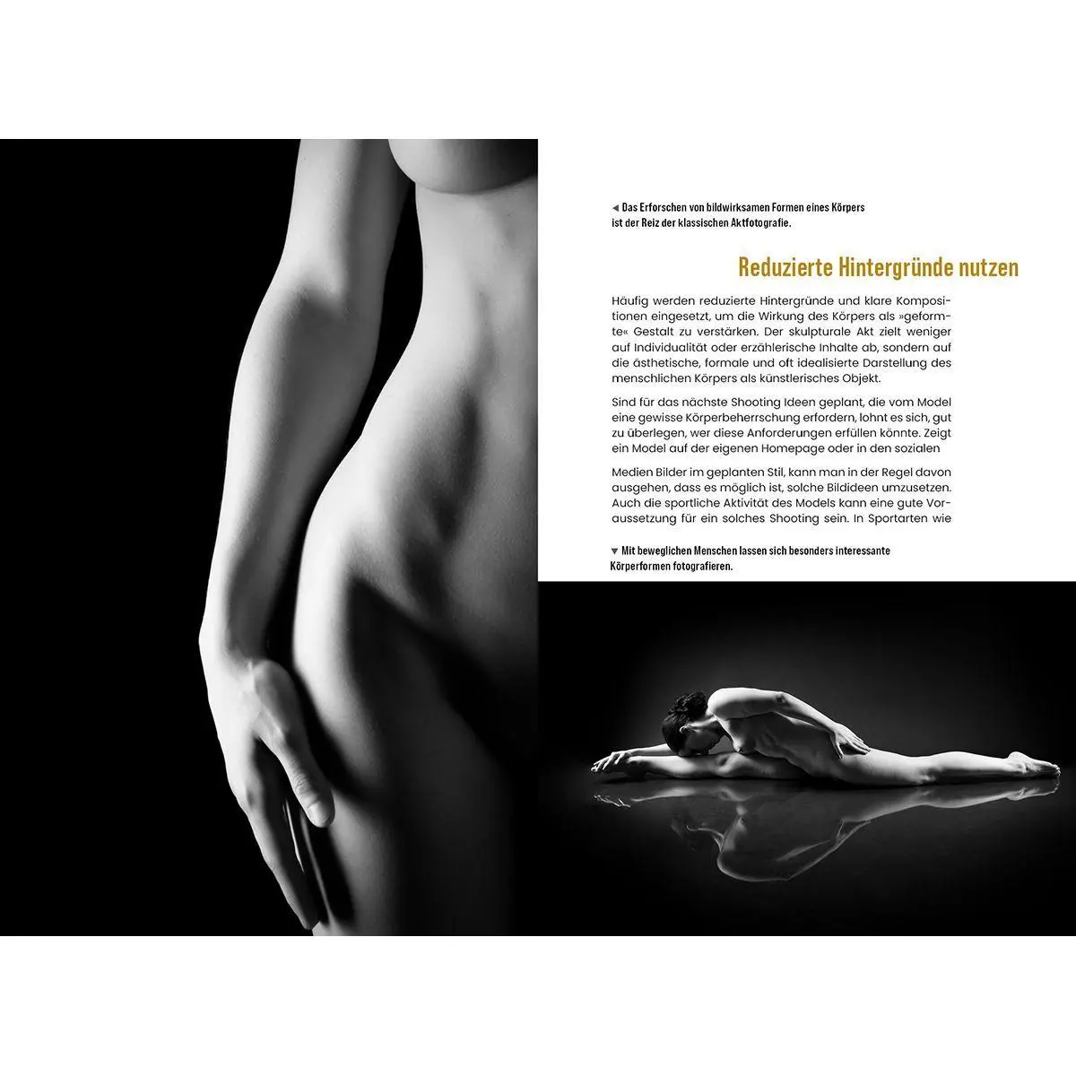 Bild: 9783832807559 | Aktfotografie: Der Weg zu kreativen Kunstwerken | Judith Geiser | Buch