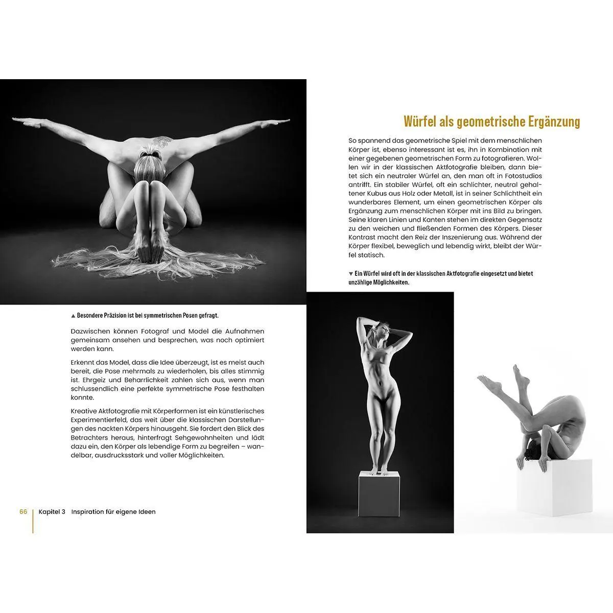Bild: 9783832807559 | Aktfotografie: Der Weg zu kreativen Kunstwerken | Judith Geiser | Buch