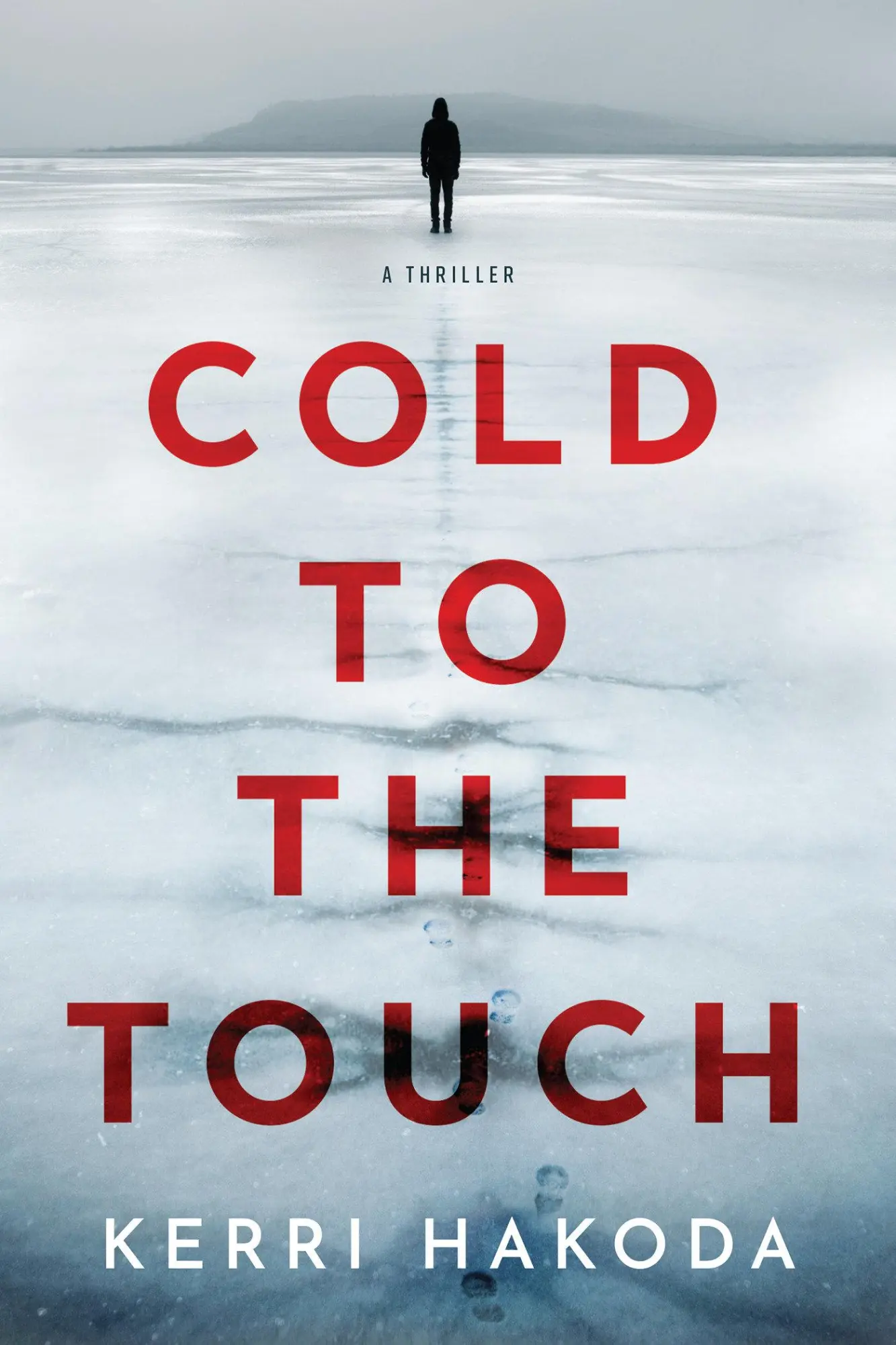 Cover: 9781639107759 | Cold to the Touch | A Thriller | Kerri Hakoda | Buch | Englisch | 2024