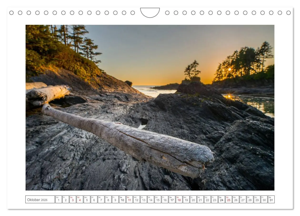 Bild: 9783457977859 | Vancouver Island (Wandkalender 2026 DIN A4 quer), CALVENDO...