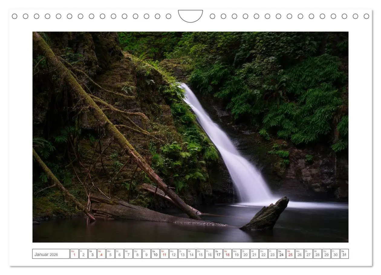 Bild: 9783457977859 | Vancouver Island (Wandkalender 2026 DIN A4 quer), CALVENDO...