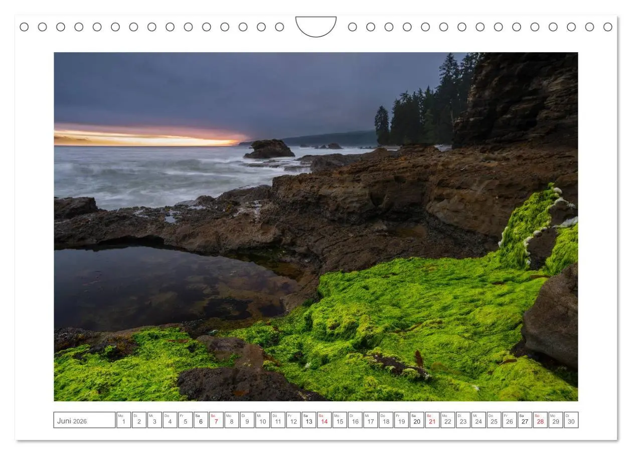 Bild: 9783457977859 | Vancouver Island (Wandkalender 2026 DIN A4 quer), CALVENDO...