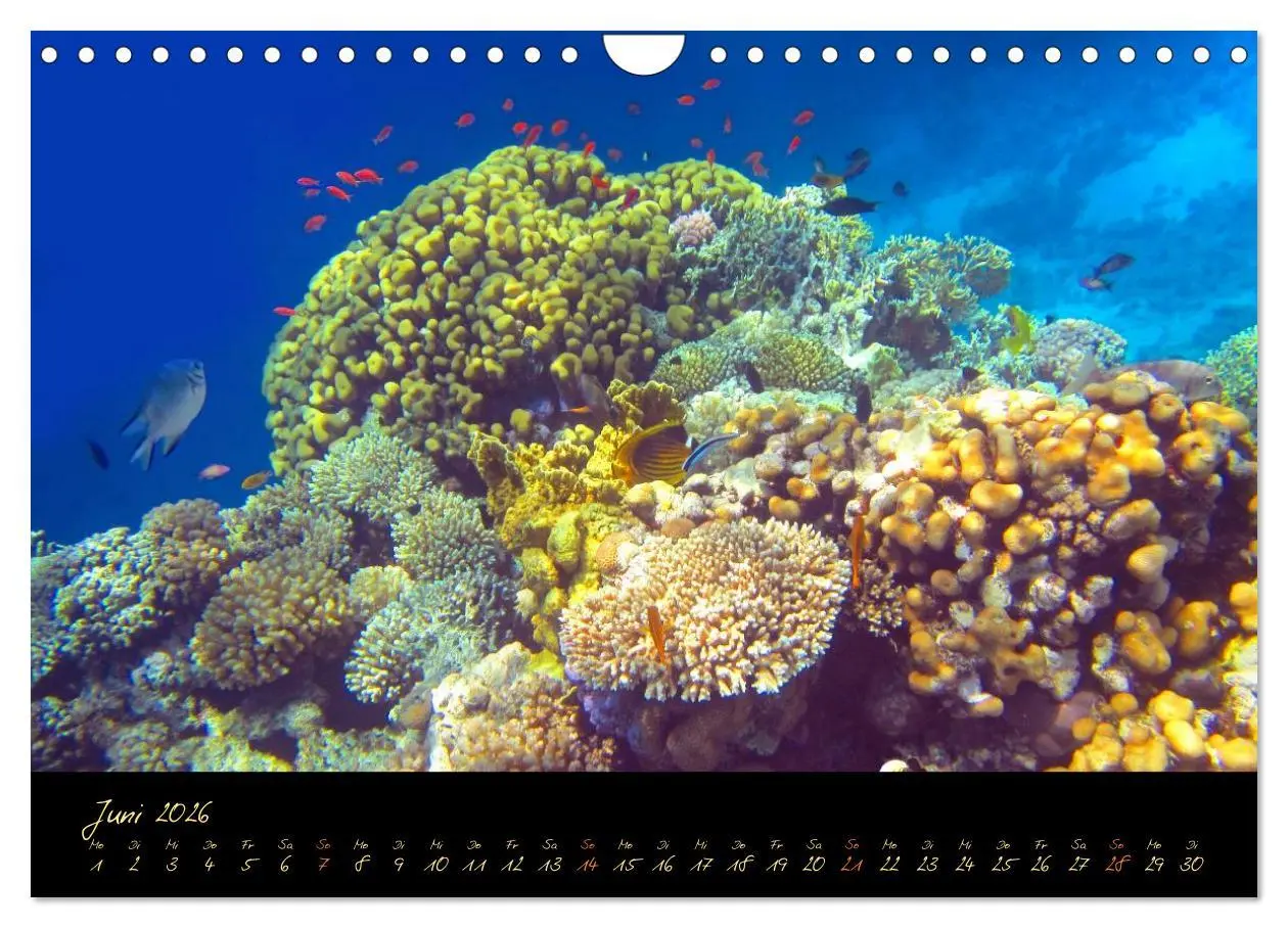 Bild: 9783516057959 | Ägypten - Eine Entdeckungsreise (Wandkalender 2026 DIN A4 quer),...