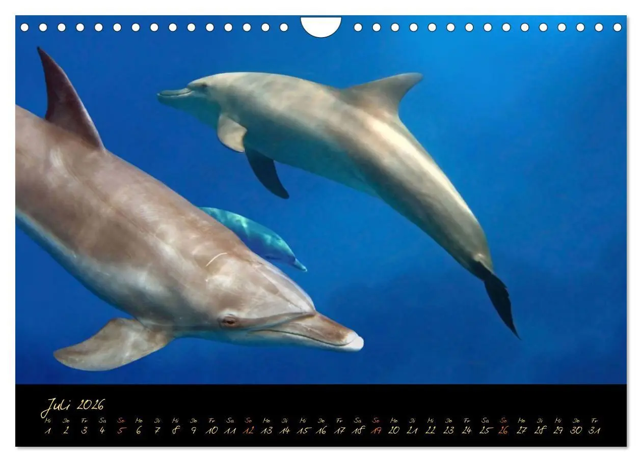 Bild: 9783516057959 | Ägypten - Eine Entdeckungsreise (Wandkalender 2026 DIN A4 quer),...