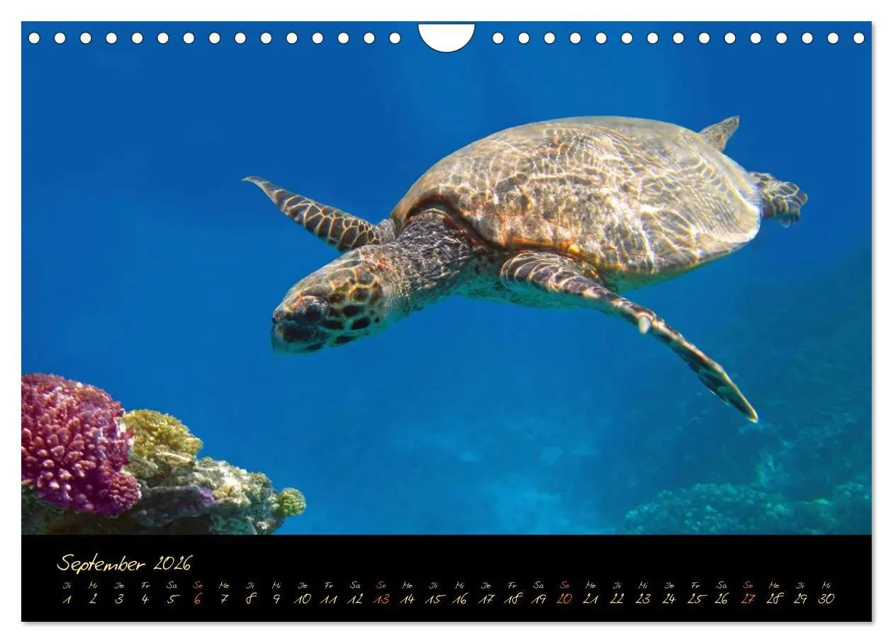 Bild: 9783516057959 | Ägypten - Eine Entdeckungsreise (Wandkalender 2026 DIN A4 quer),...