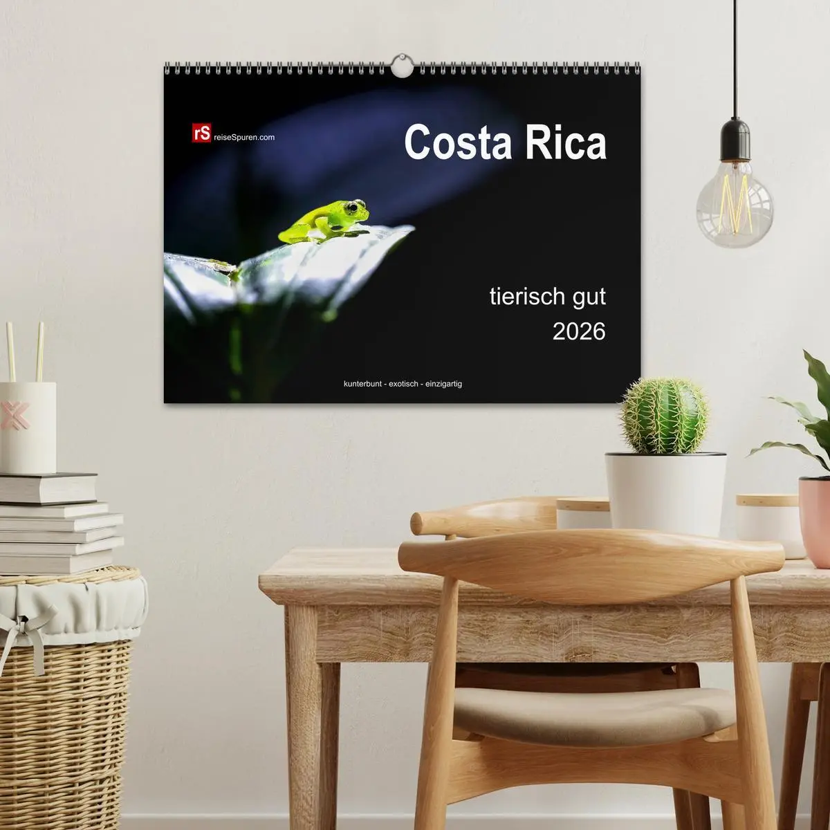 Bild: 9783516127959 | Costa Rica tierisch gut 2026 (Wandkalender 2026 DIN A3 quer),...
