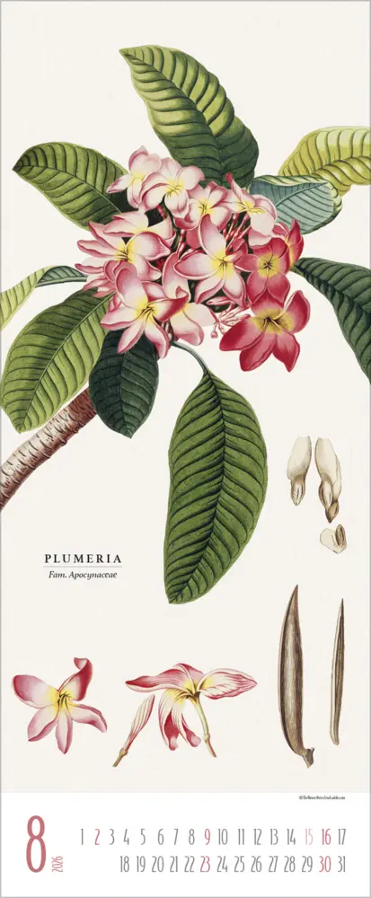 Bild: 9783731887959 | Botanicum 2026 | Verlag Korsch | Kalender | 14 S. | Deutsch | 2026