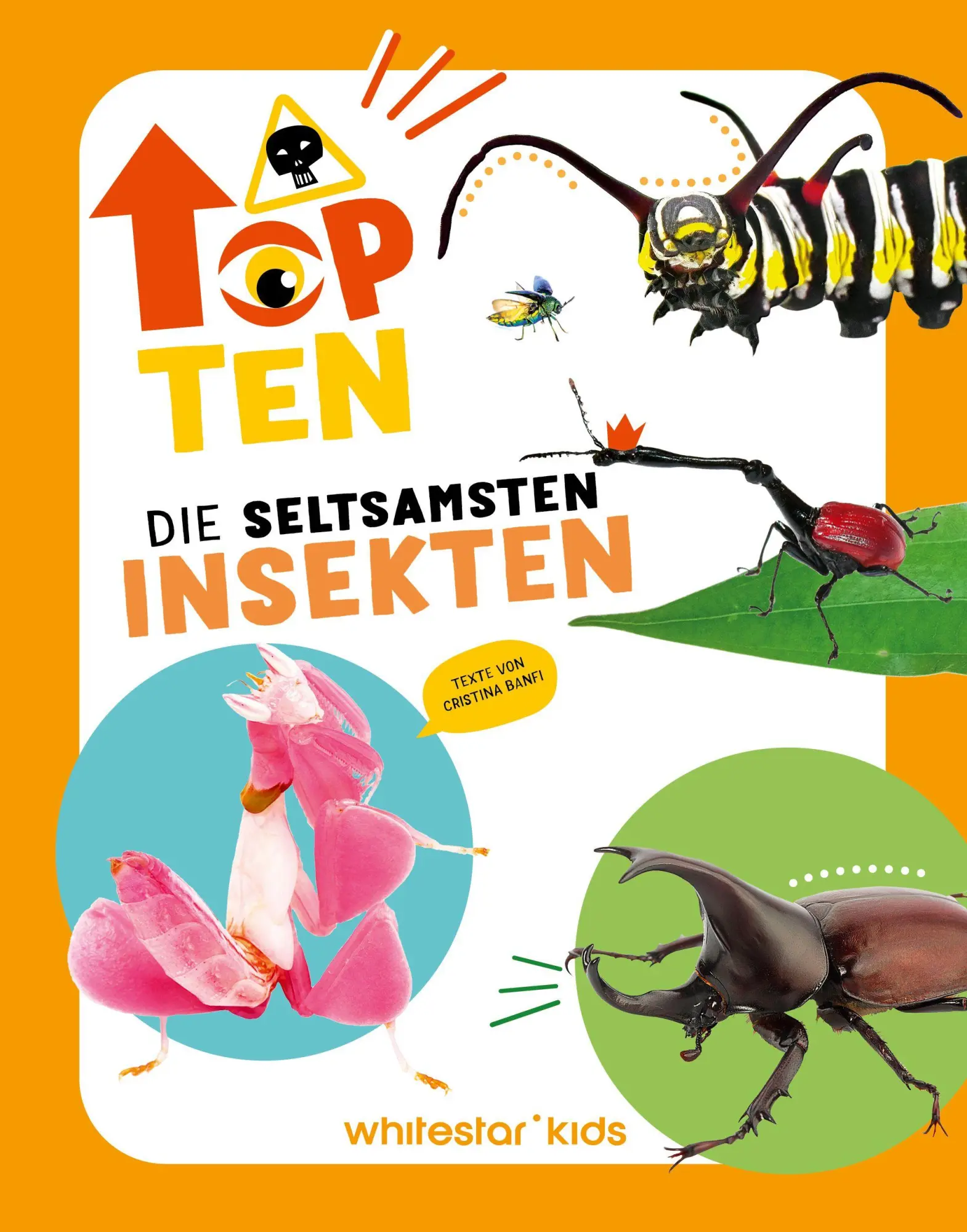 Cover: 9788863127959 | Top Ten die seltsamsten Insekten | Sylvia Winnewisser | Buch | 40 S.