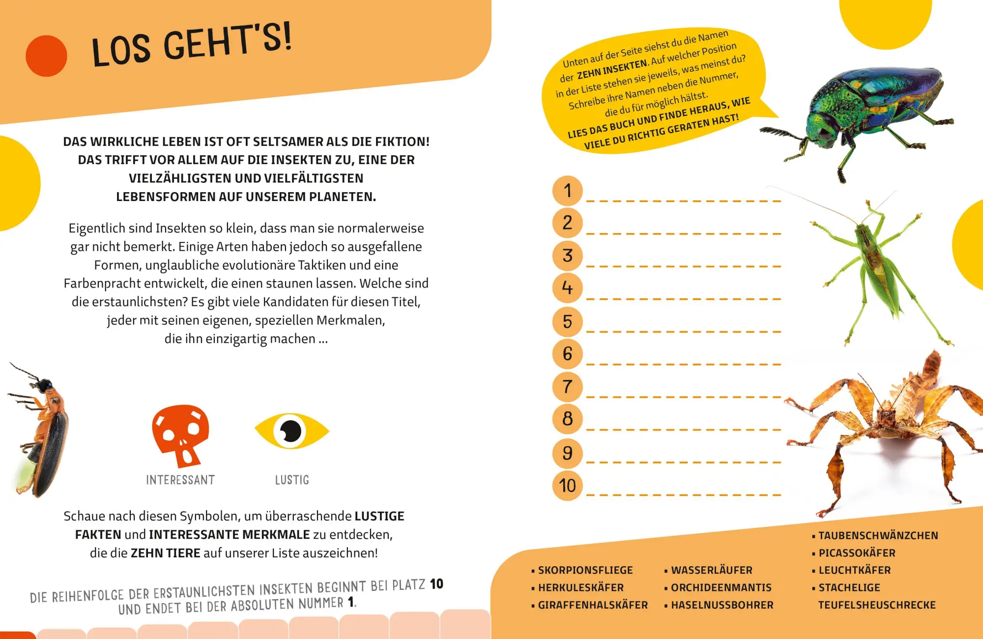 Bild: 9788863127959 | Top Ten die seltsamsten Insekten | Sylvia Winnewisser | Buch | 40 S.