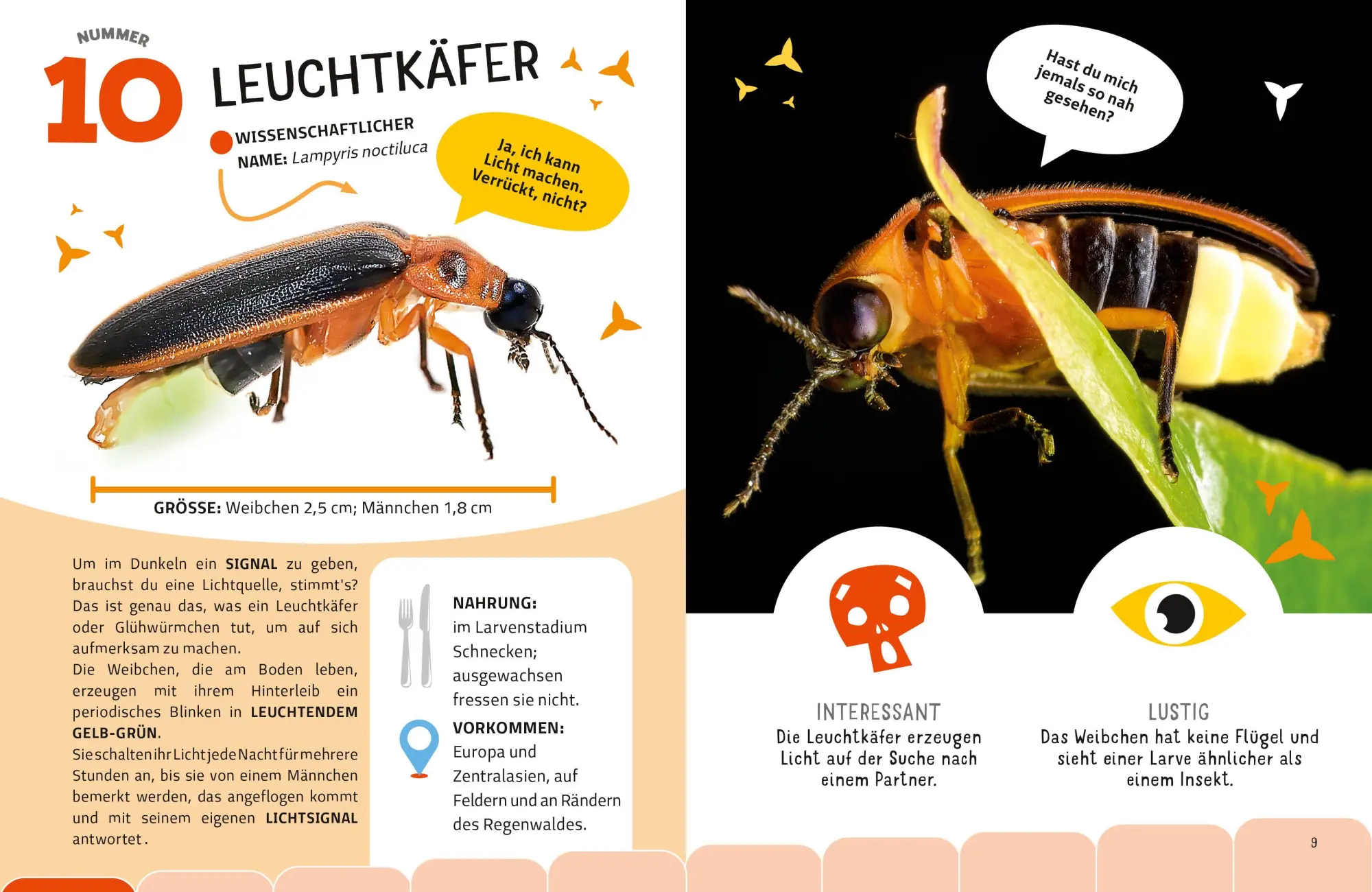 Bild: 9788863127959 | Top Ten die seltsamsten Insekten | Sylvia Winnewisser | Buch | 40 S.