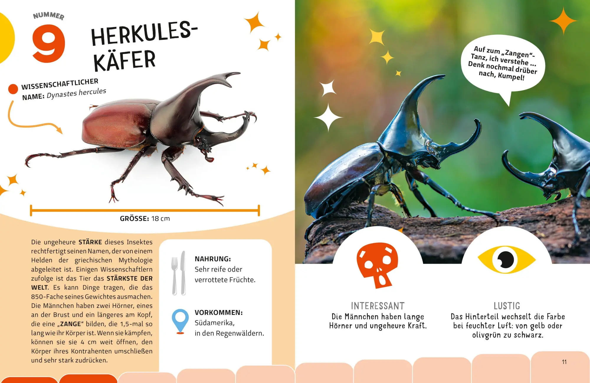 Bild: 9788863127959 | Top Ten die seltsamsten Insekten | Sylvia Winnewisser | Buch | 40 S.